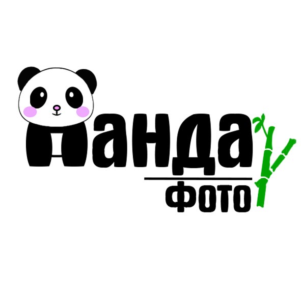 Панда Фото